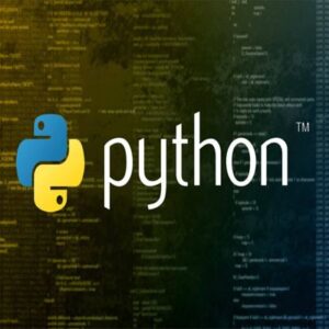 Python assignment help